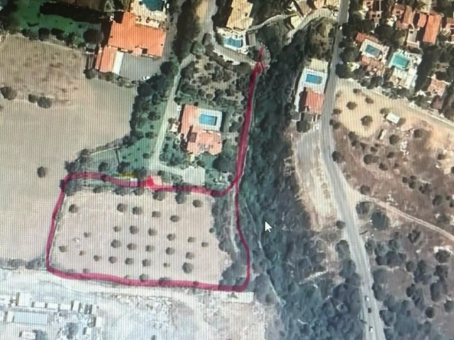 Land For Sale in Zeytinlik