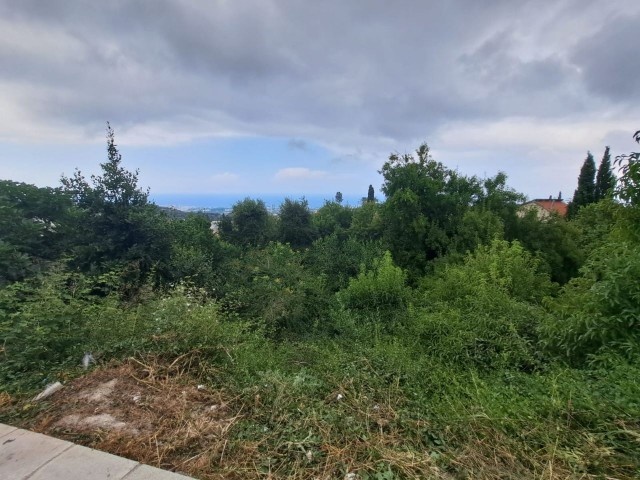 Wonderful Land for Sale in Bellapais