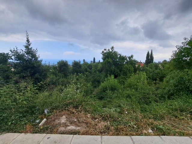 Wonderful Land for Sale in Bellapais