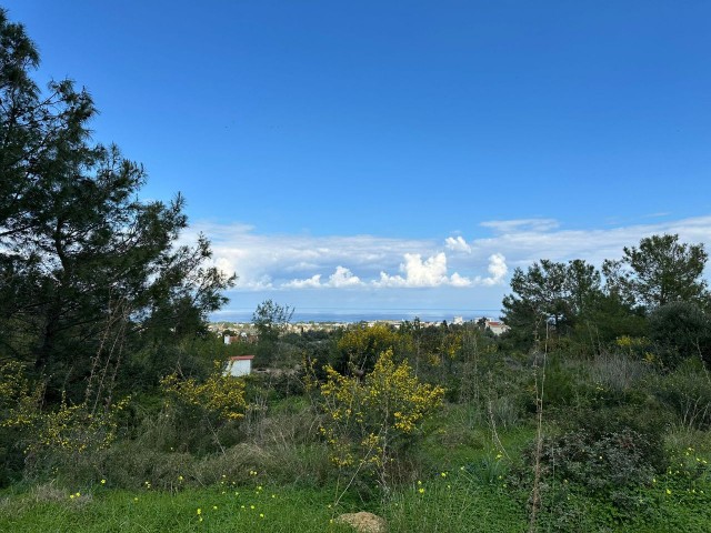 Land For Sale In Catalkoy   -LCAT01