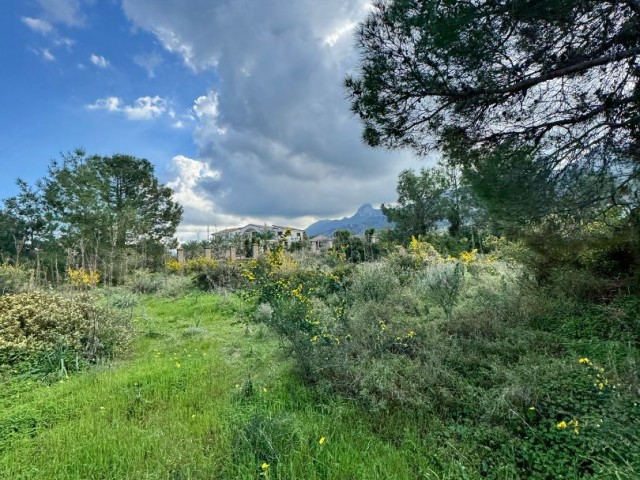 Land For Sale In Catalkoy   -LCAT01