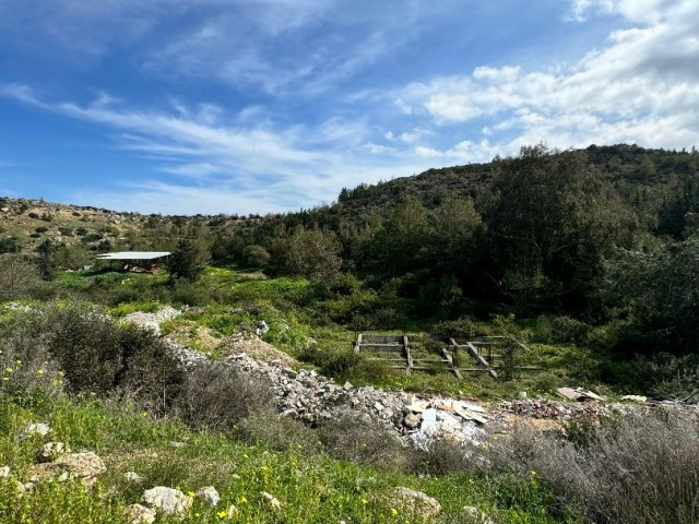 Land For Sale In Catalkoy !   -LCAT 17