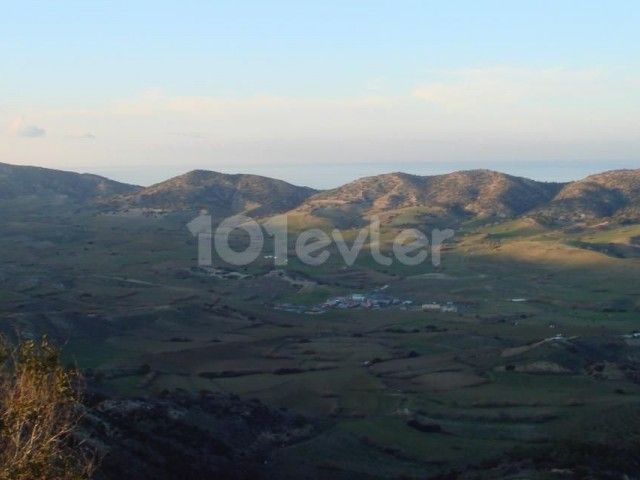 Magnificent mountain and sea view in Tepebaşı