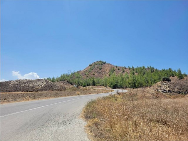 Turkish land for sale Hisarköy 05488521989