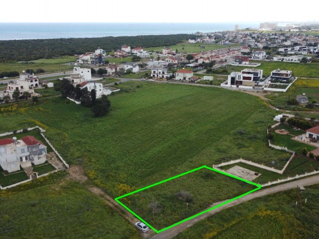 Land plot 1124 m2