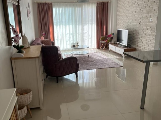 1+1 flat ceasar fuly furnished