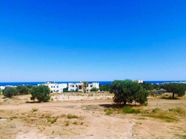 Freistehendes Haus mit Gemeinschaftspool Kyrenia Esentepe