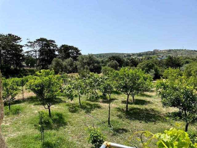 2+1 Villa mit großem Garten zum Verkauf in Karpaz