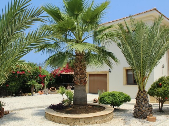 4 + 1 Luxusvilla Am Meer in Esentepe ** 