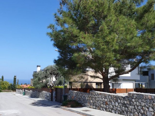 Detached Villa in glass trees where green meets