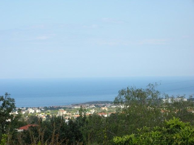 Kyrenia /Catalkoy Bereich in der Grünanlage im Garten einer großen Villa