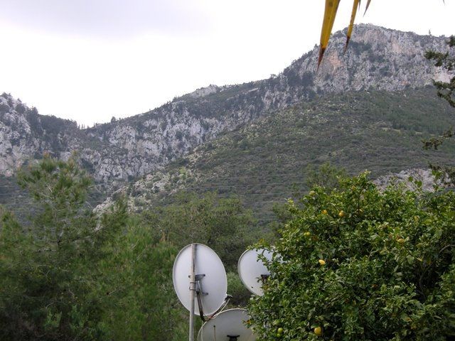 Kyrenia /Catalkoy Bereich in der Grünanlage im Garten einer großen Villa