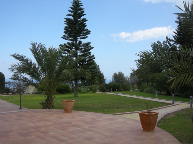 Kyrenia /Catalkoy Bereich in der Grünanlage im Garten einer großen Villa