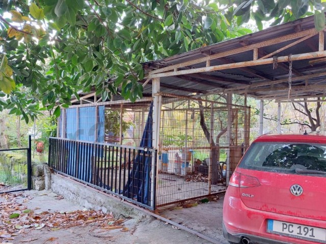 Geräumige 2-Zimmer-Wohnung mit Garten in Girne Lapt