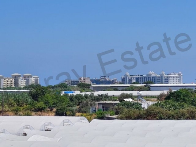 2+1 90M2  FLAT İN ALSANCAK