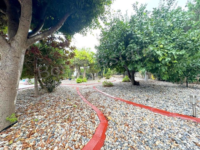  3+1 villa with pool on approximately 1 decare of land, within walking distance to the sea