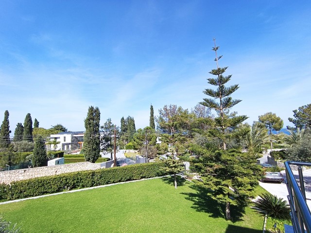 Magnificent villa among glass trees