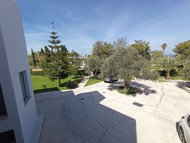 Magnificent villa among glass trees