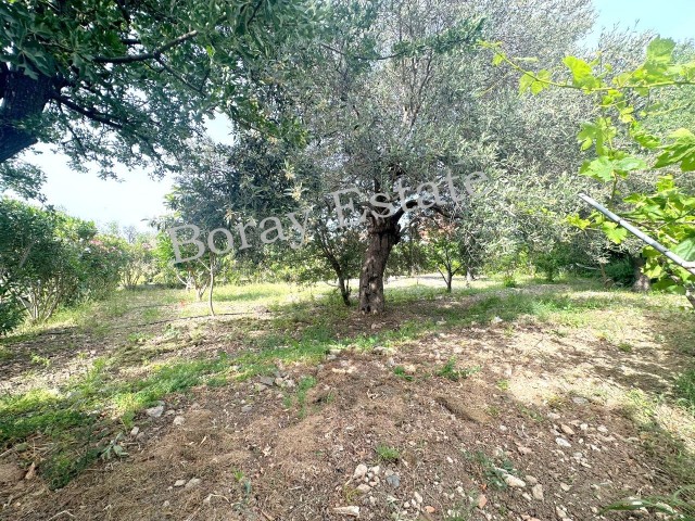 3+1 Villa on 1 Decare of Evlek Land in Kyrenia Alsancak