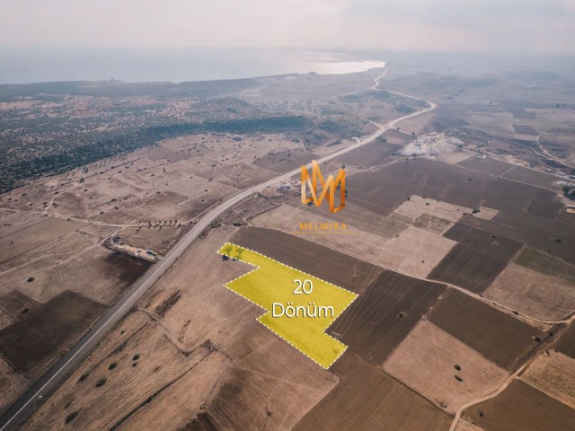 Land for Sale in Tuzluca for 20 Decares of Floor
