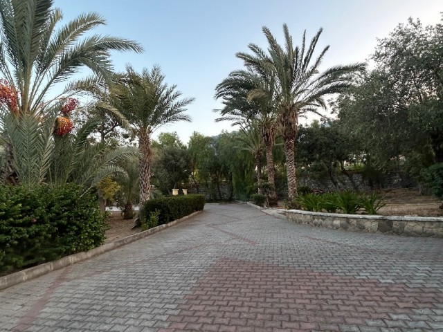 Villa zum Verkauf auf einem 5,5 Dekar großen Grundstück in Edremit, Kyrenia