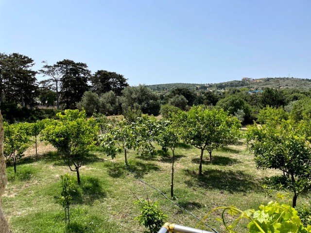 Gelbes Steinhaus mit Garten in Dipkarpaz-İskele – freistehend