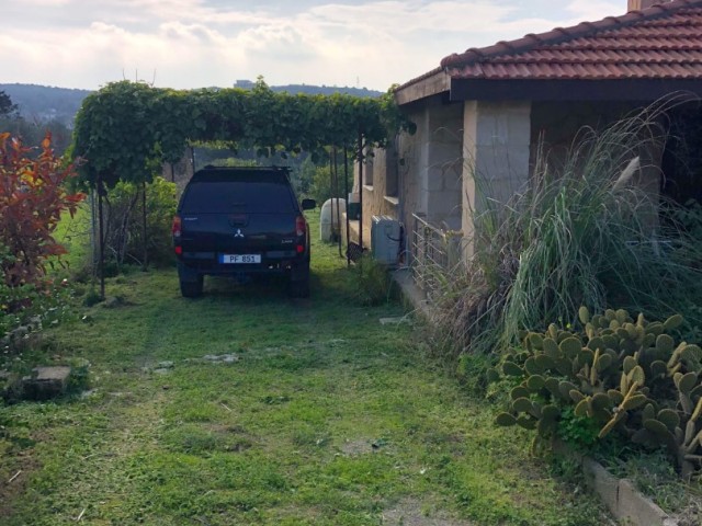 Gelbes Steinhaus mit Garten in Dipkarpaz-İskele – freistehend