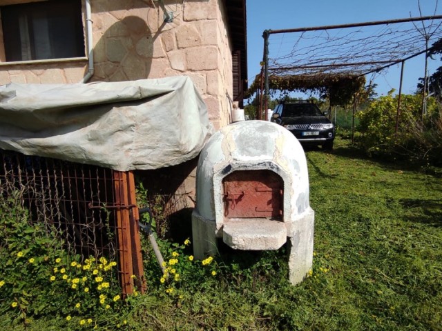 Yellow Stone House with Garden in Dipkarpaz-İskele - Detached