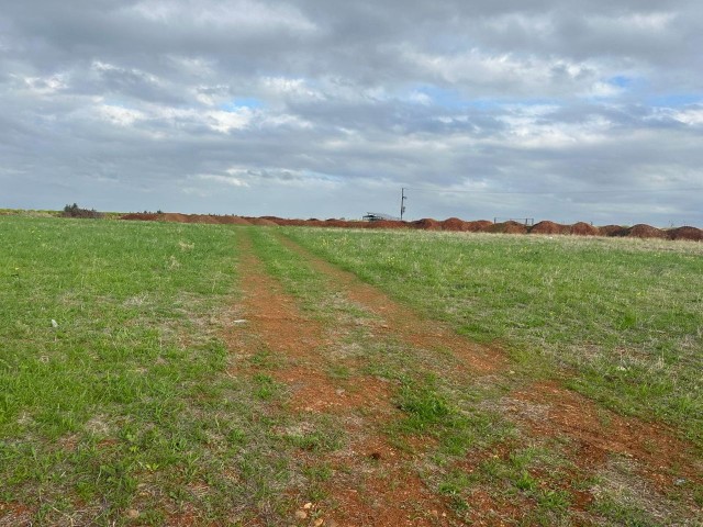 زمین برای فروش در LEFKE