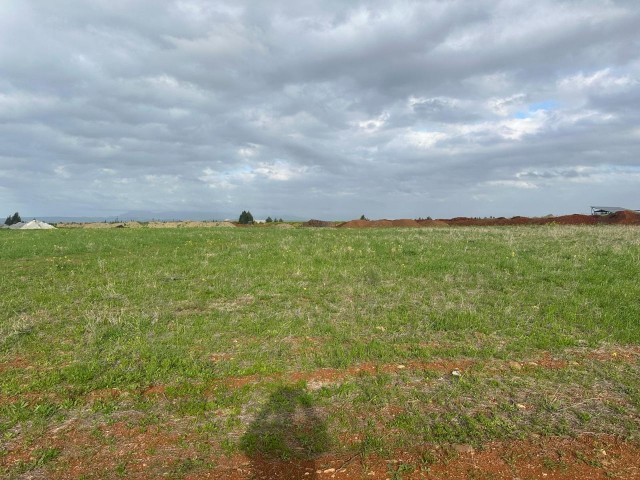 LAND FOR SALE IN LEFKE