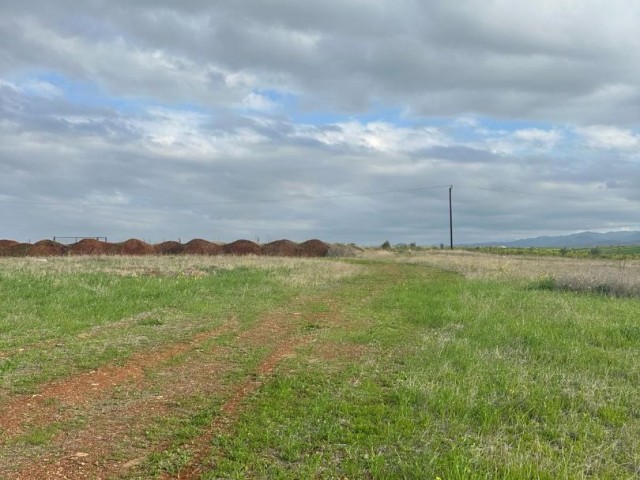 زمین برای فروش در LEFKE