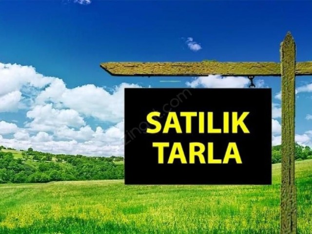 LEFKE'DE SATILIK TARLA