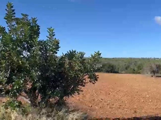 Земля с великолепным видом на море 