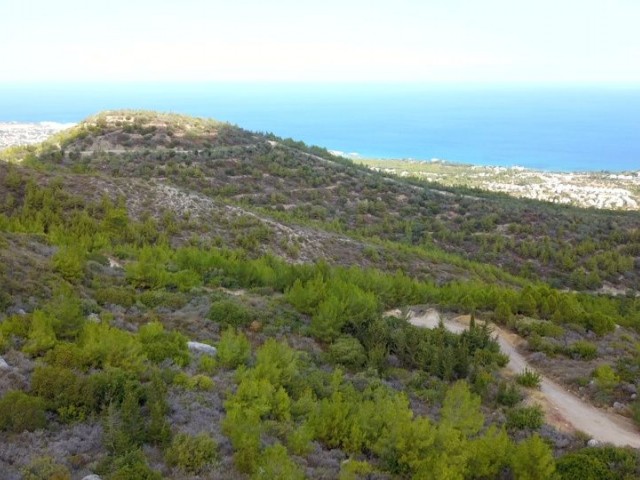 زمین 16 دایری با پروژه عنوان ترکی در روستای کرمی