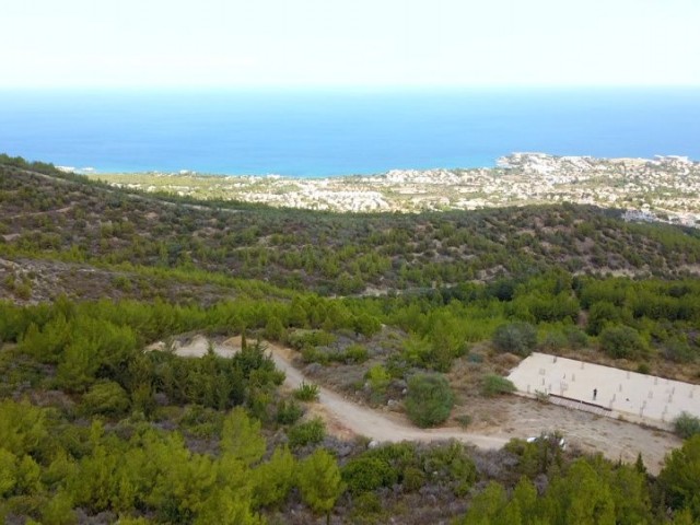 زمین 16 دایری با پروژه عنوان ترکی در روستای کرمی