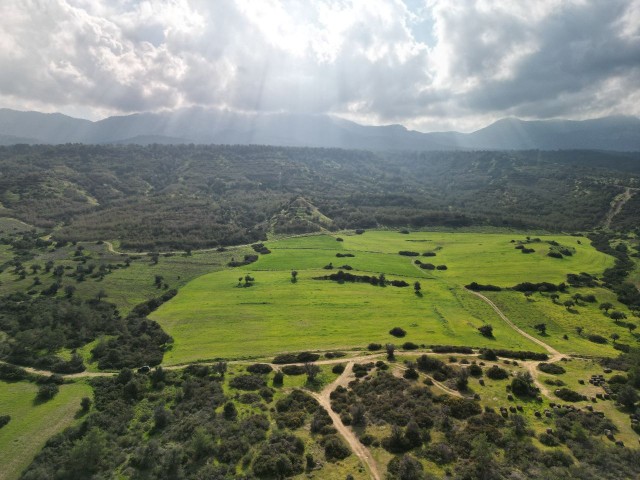 30 Dekaden Land zum Verkauf in der Region Esentepe, 1,3 km vom Golfplatz entfernt