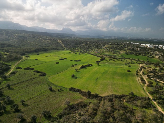 30 decares of land for sale in Esentepe region, 1.3 km from the Golf Course