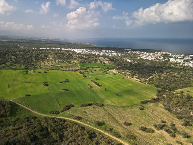 30 decares of land for sale in Esentepe region, 1.3 km from the Golf Course