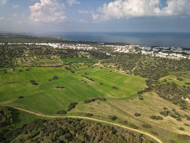 30 decares of land for sale in Esentepe region, 1.3 km from the Golf Course