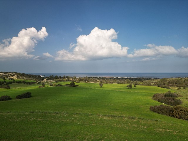 30 decares of land for sale in Esentepe region, 1.3 km from the Golf Course