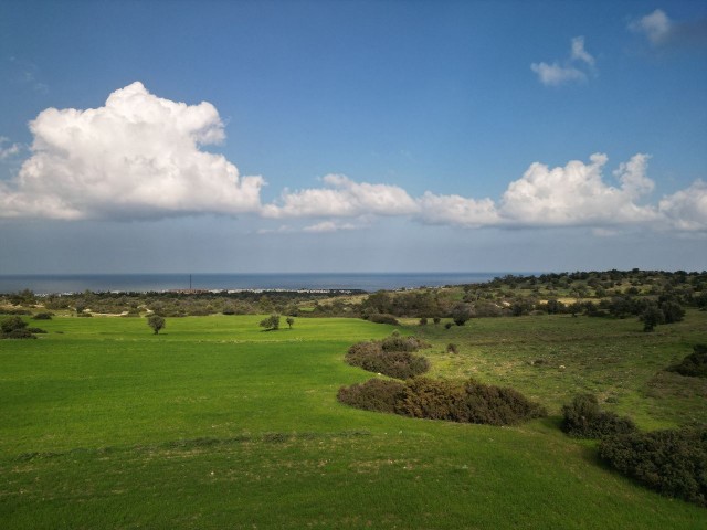 30 decares of land for sale in Esentepe region, 1.3 km from the Golf Course