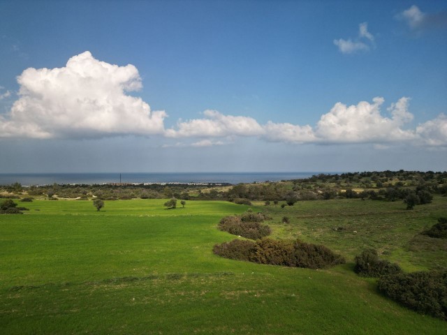 30 decares of land for sale in Esentepe region, 1.3 km from the Golf Course