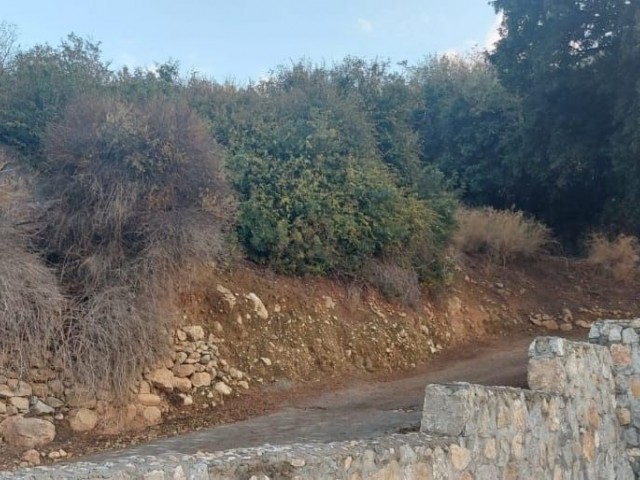 636 m2 GRUNDSTÜCK ZUM VERKAUF IM OSTEN DES BERGES IN GIRNE AGTIAKA 