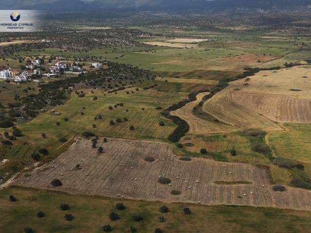 UNSER GRUNDSTÜCK MIT 24 36 GRUNDSTÜCKEN IN İSKELE BOĞAZTEPE, 450 METER ZUM MEER UND 400 METER ZUR HAUPTSTRASSE VON İSKELE KARPAZ, MIT EIGENER NEUER STRAßE, STEHT ZUM VERKAUF!!!!