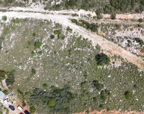 HERE IS AN OPPORTUNITY FOR THOSE WHO ARE LOOKING FOR A LAND FOR BOTH INVESTMENT AND VILLA IN THE UNIQUE VIEW OF KIRNE KARSIYAKA!! 1 DONE TURKISH LAND FOR SALE