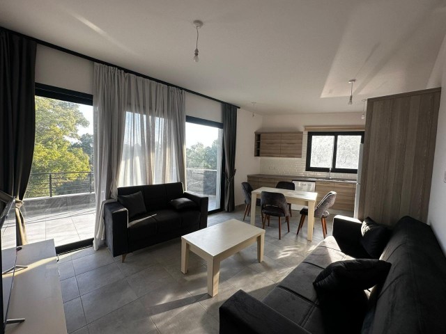 2+1 Newly Furnished New Building Flats for Rent in Nicosia Dereboyu!