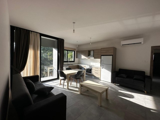 2+1 Newly Furnished New Building Flats for Rent in Nicosia Dereboyu!