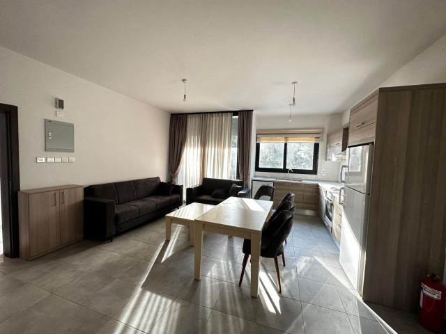 2+1 Newly Furnished New Building Flats for Rent in Nicosia Dereboyu!