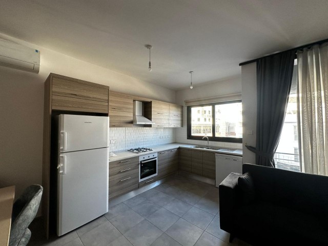 2+1 Newly Furnished New Building Flats for Rent in Nicosia Dereboyu!