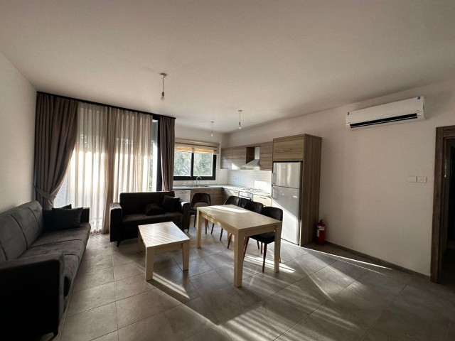 2+1 Newly Furnished New Building Flats for Rent in Nicosia Dereboyu!